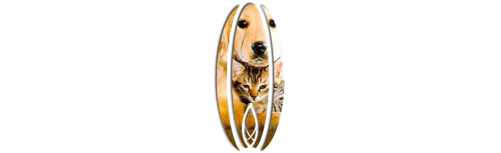 l-pet